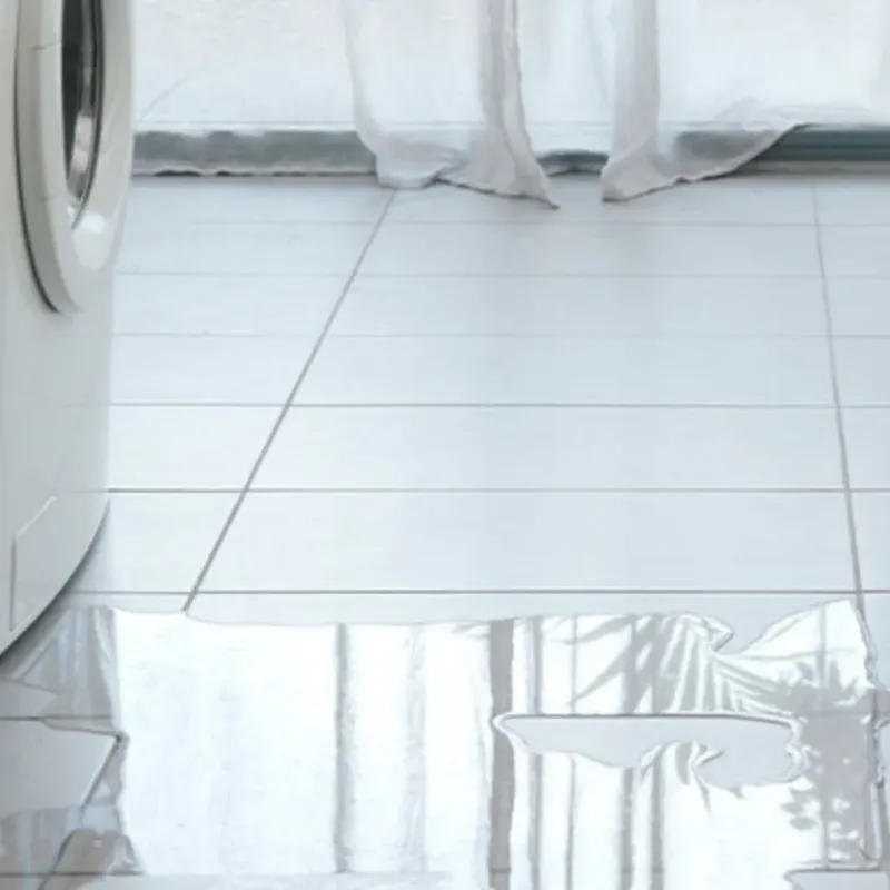 Appliance Leak Cleanup in Stanley, VA