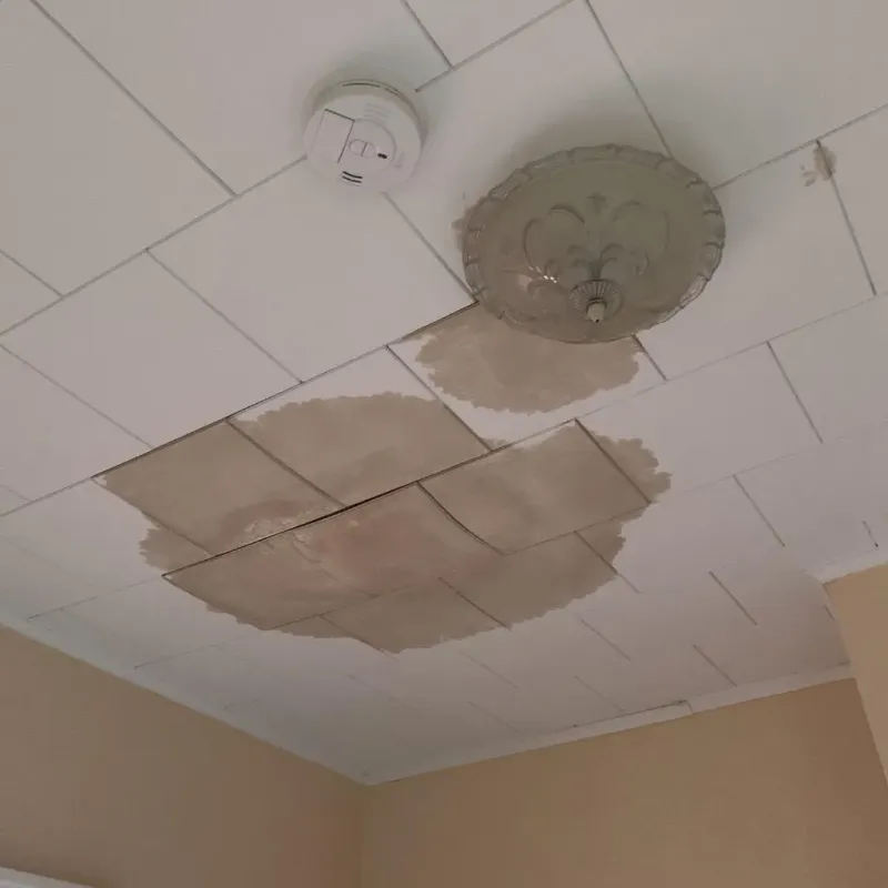 Ceiling Water Damage Repair in Stanley, VA
