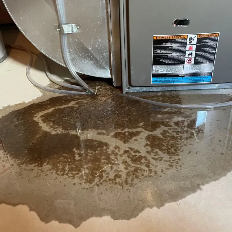 Pipe Burst and Leak Restoration in Stanley, VA