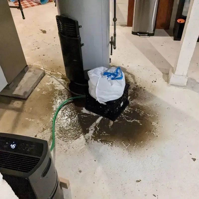 Sewage Backup Cleanup Service in Stanley, VA